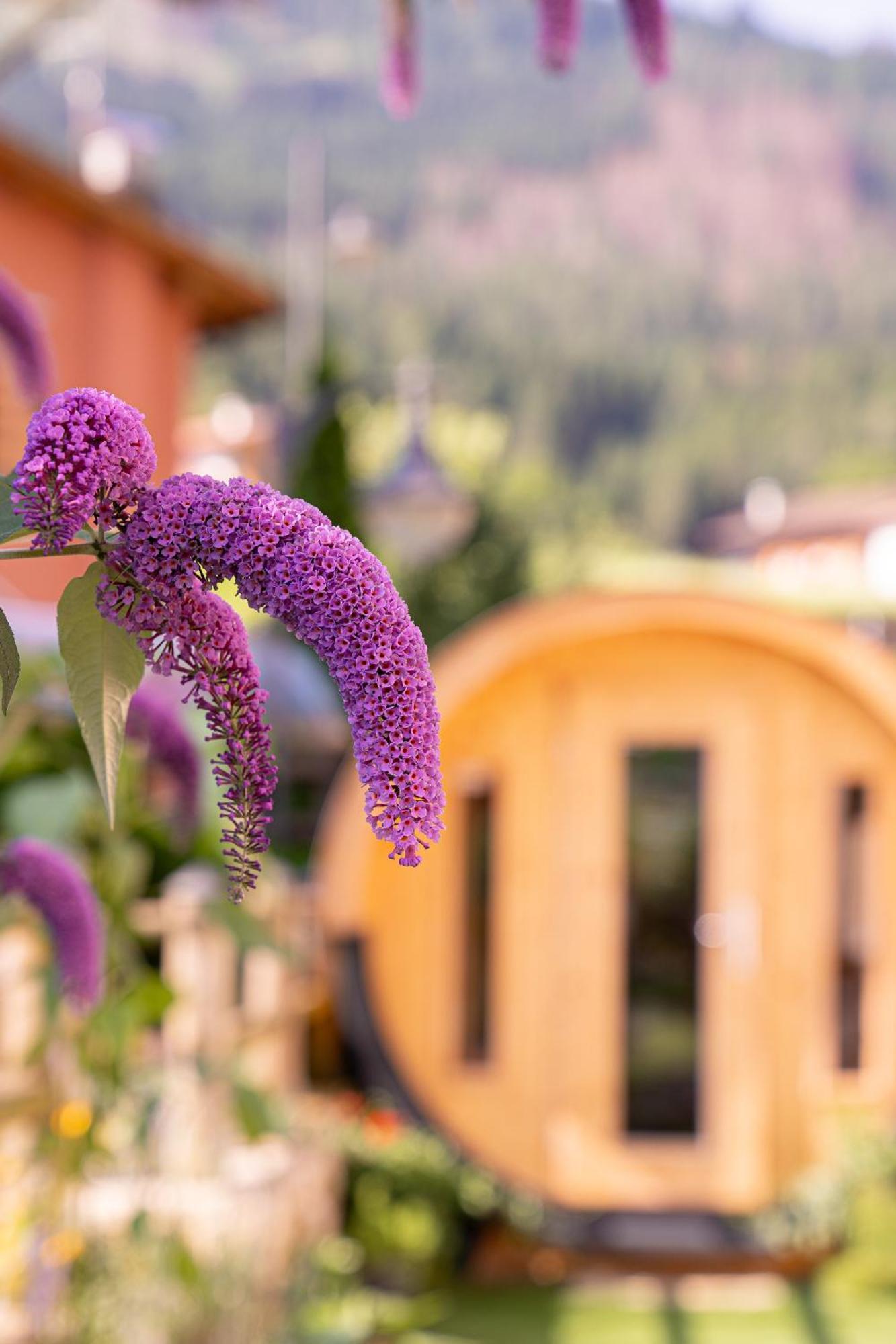 Albergo Negritella Ziano di Fiemme Exterior foto